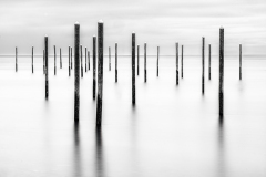 Honor Award by Phil Nardozzi of Hockomock Camera Club (MA) with “Separation”