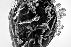Honor Award by Tom Armstrong of Eastern Maine Camera Club (ME) with “Icy Crab Apple”