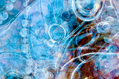 Honor Award,	Janet 	Josselyn,	“Frozen Water In A Dream,”	NE Garden Club (NH)