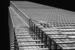 Honor Award, Built for Height by Amy Keith, Simsbury Camera Club (CT)